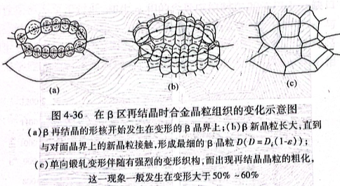 在β區(qū)再結(jié)晶時(shí)合金晶粒組織的變化示意圖