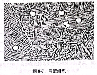 網籃組織